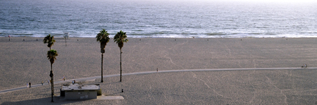 4 Palms