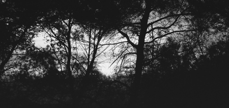 Sunset-06