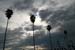 Palms-Eagle Rock Blvd