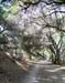 Walk